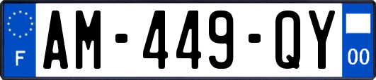 AM-449-QY
