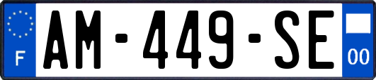 AM-449-SE