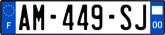 AM-449-SJ