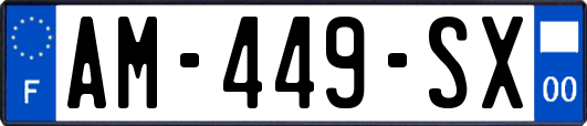 AM-449-SX