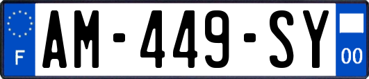 AM-449-SY