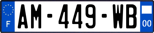 AM-449-WB