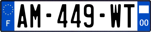 AM-449-WT