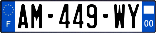AM-449-WY