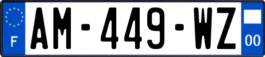 AM-449-WZ