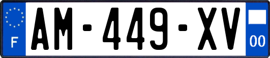 AM-449-XV