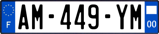 AM-449-YM