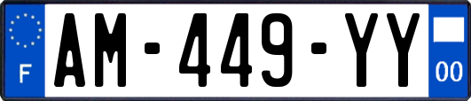 AM-449-YY