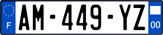 AM-449-YZ