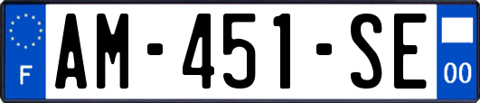 AM-451-SE