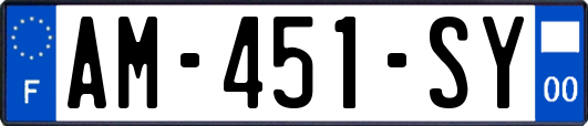 AM-451-SY
