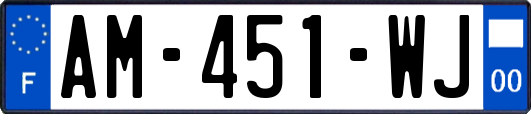 AM-451-WJ