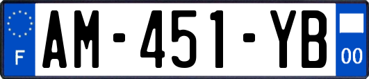 AM-451-YB