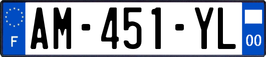 AM-451-YL