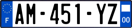 AM-451-YZ