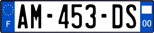 AM-453-DS