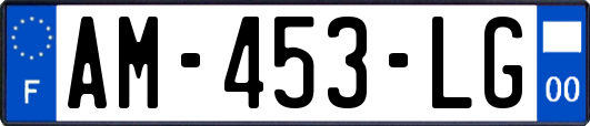 AM-453-LG