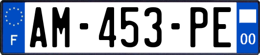 AM-453-PE