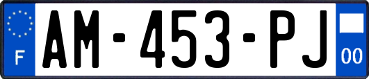 AM-453-PJ