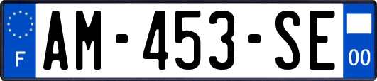 AM-453-SE