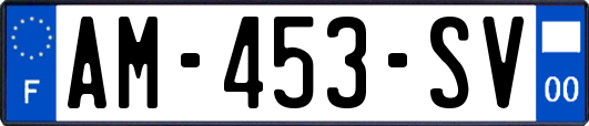 AM-453-SV