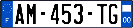 AM-453-TG