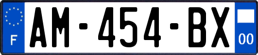 AM-454-BX