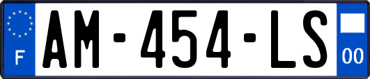 AM-454-LS