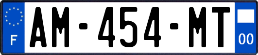 AM-454-MT