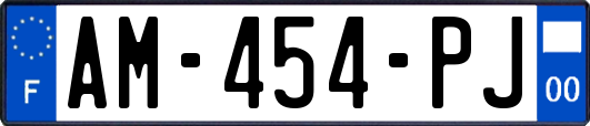 AM-454-PJ