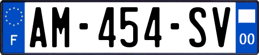 AM-454-SV