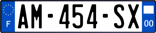 AM-454-SX