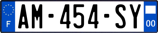 AM-454-SY