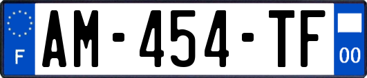 AM-454-TF