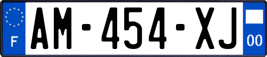 AM-454-XJ