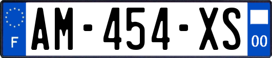 AM-454-XS