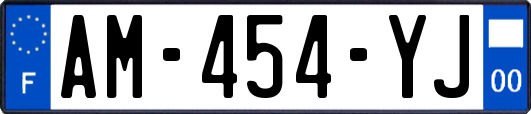 AM-454-YJ