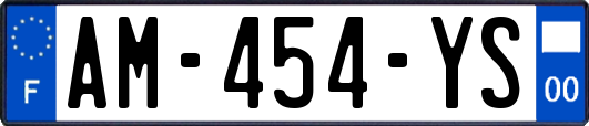 AM-454-YS