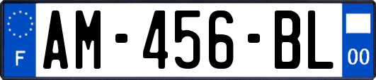 AM-456-BL