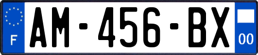 AM-456-BX