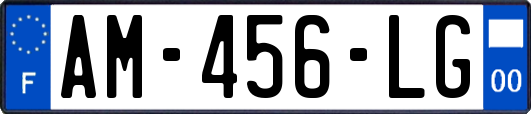 AM-456-LG