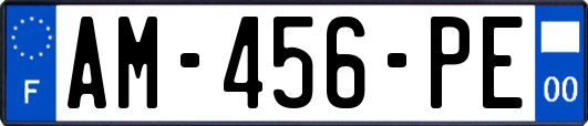 AM-456-PE
