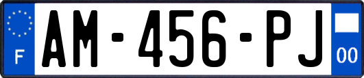 AM-456-PJ