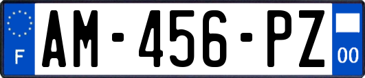 AM-456-PZ
