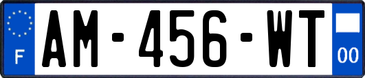 AM-456-WT