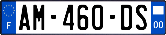 AM-460-DS