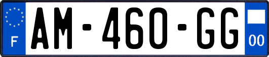 AM-460-GG