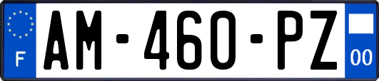AM-460-PZ