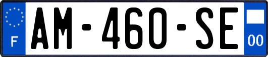 AM-460-SE