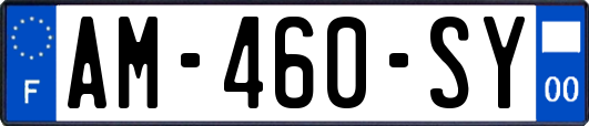AM-460-SY